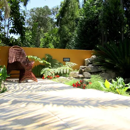 Oda ve Kahvaltı Magnolia Leiria