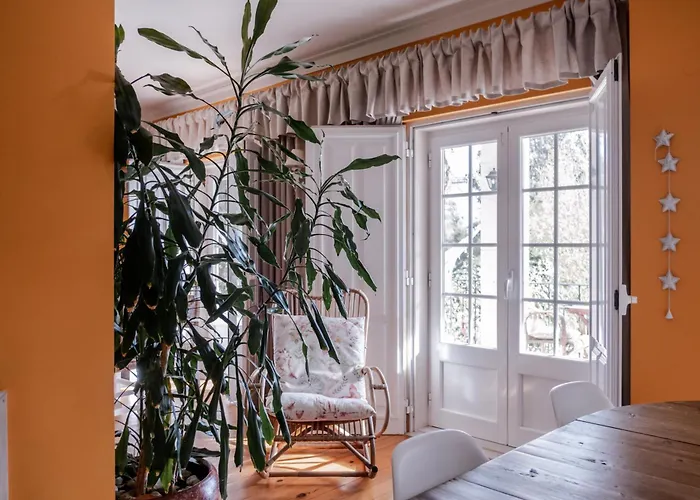 Bed & Breakfast Magnolia